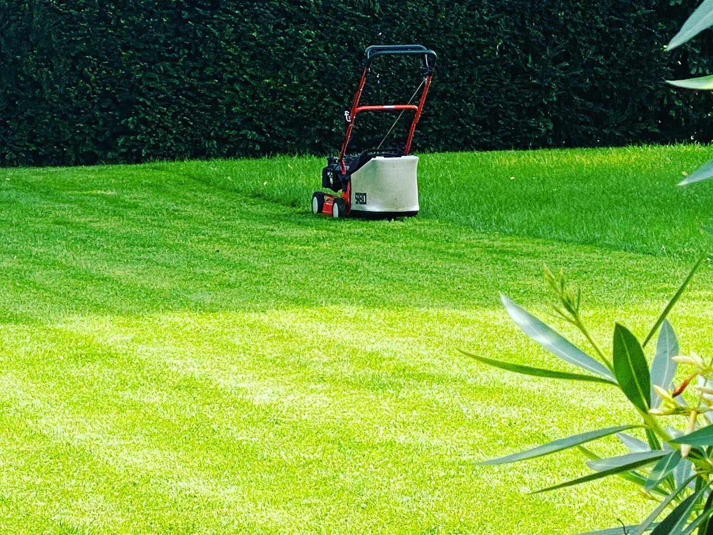 Gartenpflege